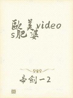 欧美videos肥婆
