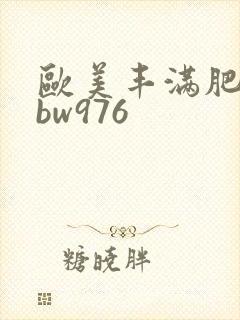 欧美丰满肥妇bbw976封面