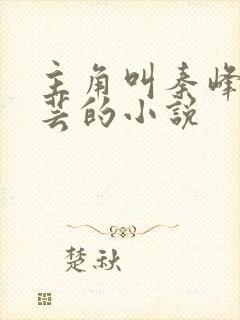 主角叫秦峰胡佳芸的小说