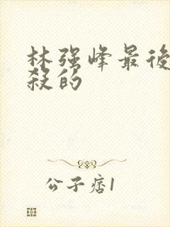 林强峰最后被谁杀的封面