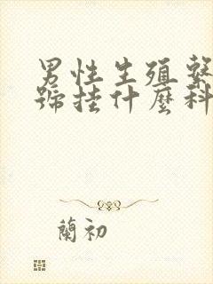 男性生殖系统挂号挂什么科