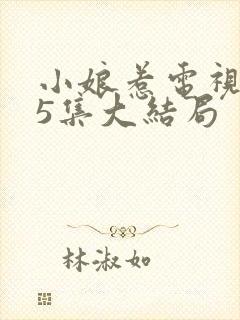 小娘惹电视剧45集大结局封面