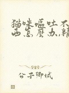 猫咪呕吐不吃东西怎么办,精神也不好