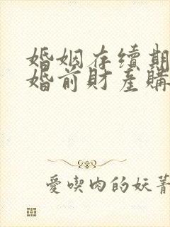 婚姻存续期间用婚前财产购买的房屋封面