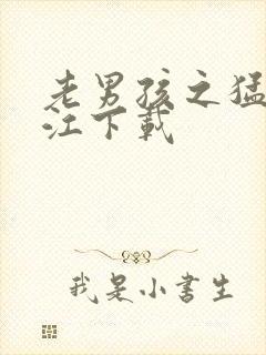 老男孩之猛龙过江下载封面