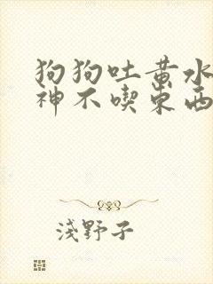 狗狗吐黄水没精神不吃东西怎么办