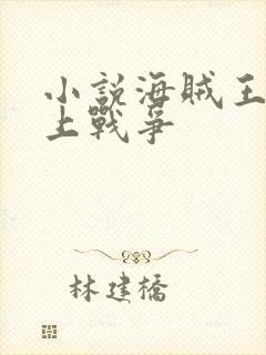 小说海贼王之顶上战争