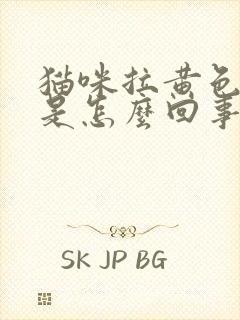 猫咪拉黄色的尿是怎么回事