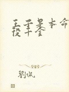 王子是本命是恶役千金