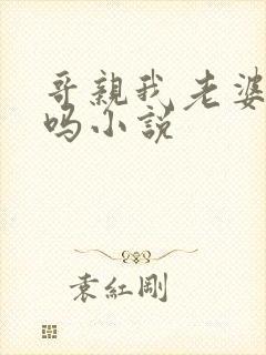 哥亲我老婆很爽吗小说