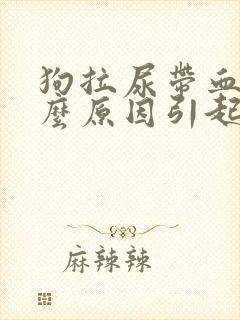 狗拉尿带血是什么原因引起的封面