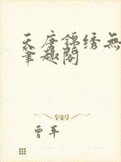 天唐锦绣无弹窗笔趣阁封面