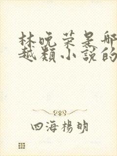 林晚荣是哪部穿越类小说的主人公