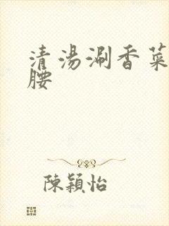 清汤涮香菜 折腰