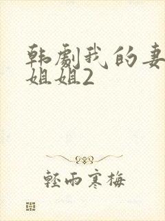 韩剧我的妻子的姐姐2