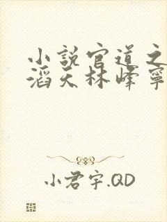 小说官道之权势滔天林峰宁欣