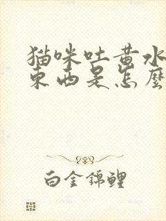 猫咪吐黄水不吃东西是怎么回事封面