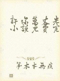 许你万丈光芒好小说免费完整观看