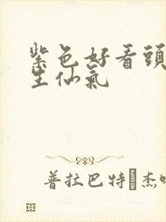 紫色好看头像女生仙气