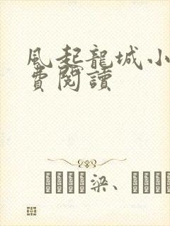 风起龙城小说免费阅读