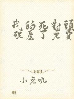 我的死对头终于破产了免费阅读