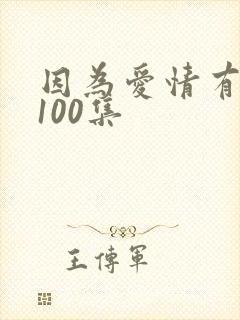 因为爱情有多美100集