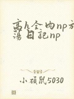 高h全肉np放荡日记np
