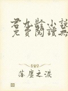 君九龄小说全文免费阅读无弹窗封面