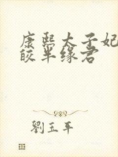 康熙太子妃沈皎皎半缘君封面