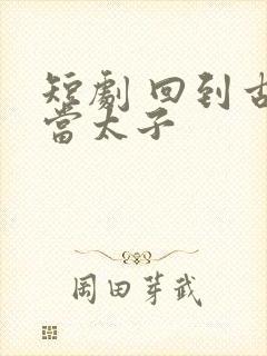 短剧 回到古代当太子封面