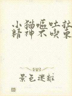 小猫呕吐拉稀没精神不吃东西