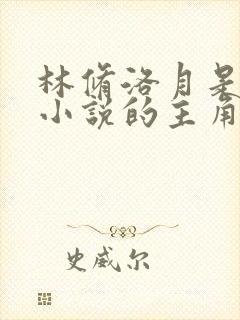 林修洛月是哪部小说的主角