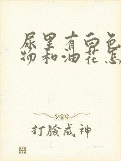 尿里有白色沉淀物和油花怎么回事?