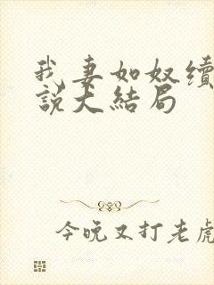 我妻如奴续写小说大结局