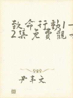 致命行动1—42集免费观看电视剧