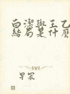 白洁与王乙小说结局是什么封面