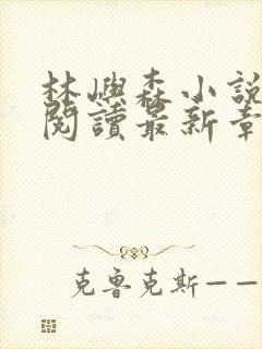 林屿森小说免费阅读最新章节封面