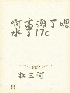 啊高潮了嗯～喷水了17c