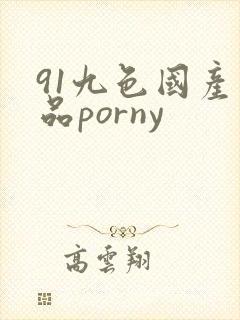 91九色国产精品porny