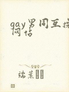 gay男同互操网站