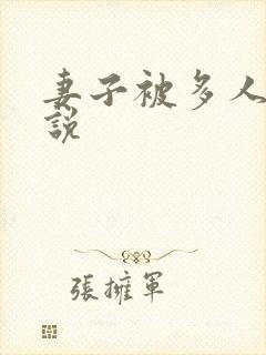 妻子被多人操小说封面