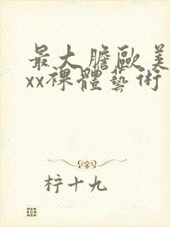 最大胆欧美xxxx裸体艺术封面