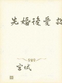 先婚后爱 总裁封面