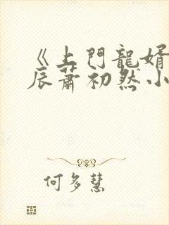 《上门龙婿》叶辰萧初然小说