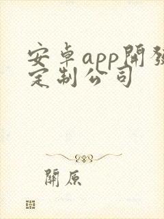 安卓app开发定制公司