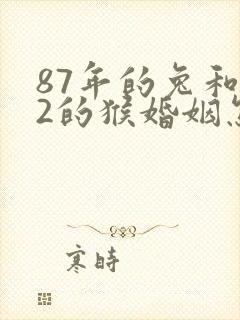 87年的兔和92的猴婚姻怎么样