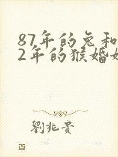 87年的兔和92年的猴婚姻相配吗封面