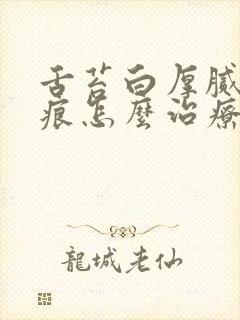 舌苔白厚腻有齿痕怎么治疗