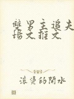 双男主追夫火葬场文推文