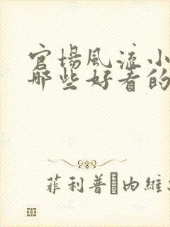 官场风流小说有哪些好看的